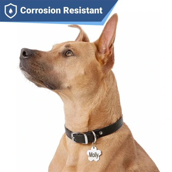 Personalized Stainless Steel Pet Name Tags for Dogs and Cats